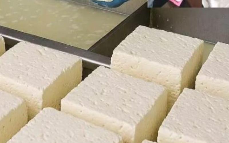  thousand kg of fake cheese recovered in Raipur, food department raided dairy Khabargali  chhattisgarh Raipur Fake Panner khabargali 