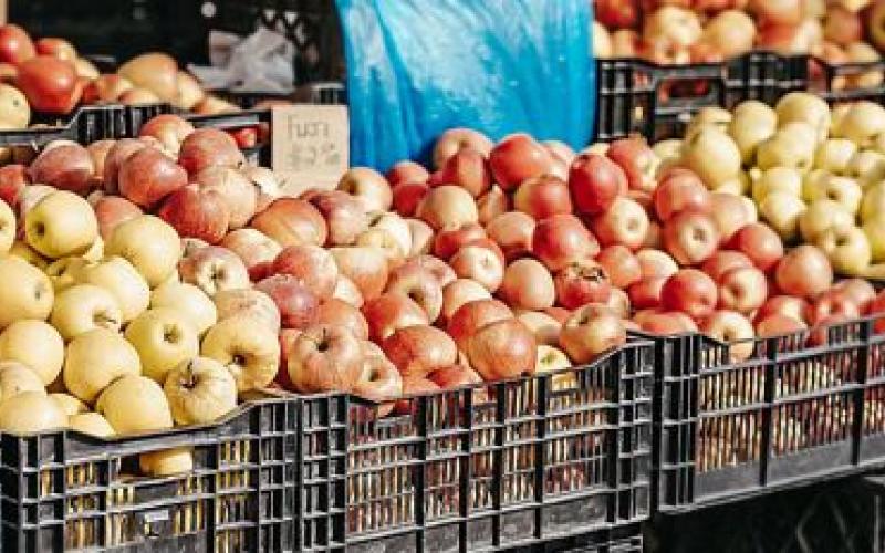 Turkish tiles and apples will no longer be available in Chhattisgarh, traders refuse to buy them latest News hindi news big News  khabargali 
