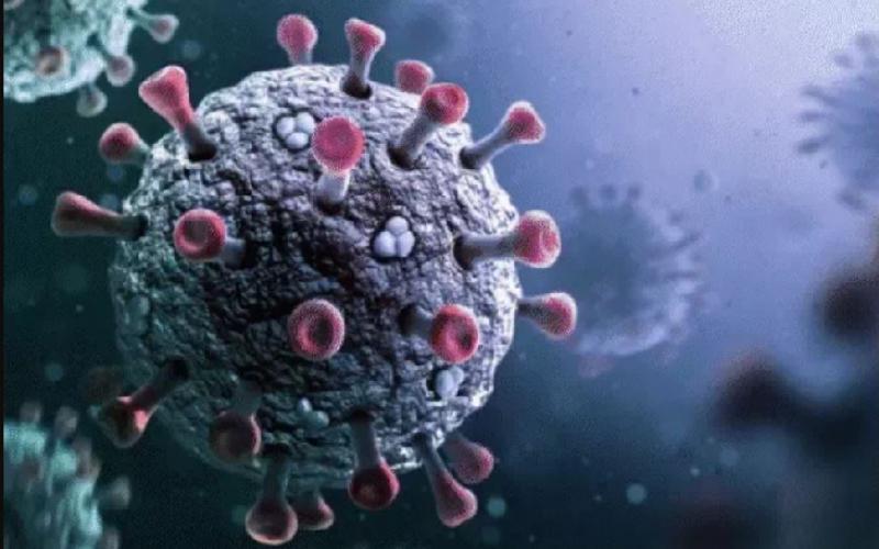 Corona infection increased in Chhattisgarh, 9 new patients were found cg news Big News latest news Khabargali 