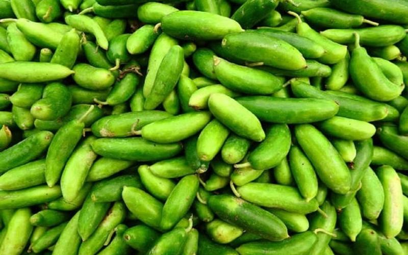 6 members of a family fell ill after eating Kunduru vegetable, treatment continues in SIMS latest news hindi News big News Chhattisgarh news khabargali 