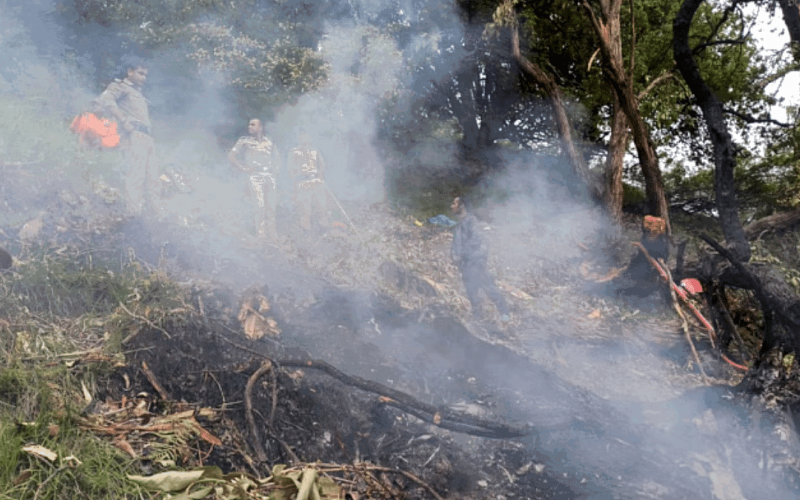 Helicopter crashes near Kedarnath, 7 dead, Khabargali