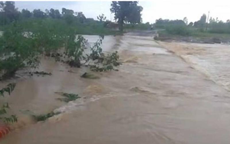 Heavy rains in Chhattisgarh cause rivers and streams to overflow, yellow alert issued in these 19 districts cg news big news hindi news latest news khabargali 