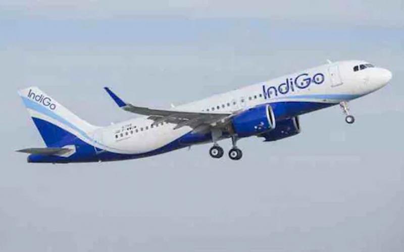 Indigo flight going from Patna to Delhi collided with a bird, 175 passengers new Delhi news big news hindi news latest news khabargali 