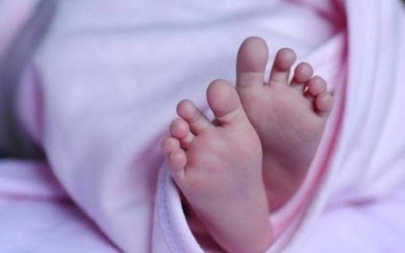 A two-year-old child swallowed gram, it reached the lungs through the windpipe, died during treatment cg News hindi News Big news khabargali 