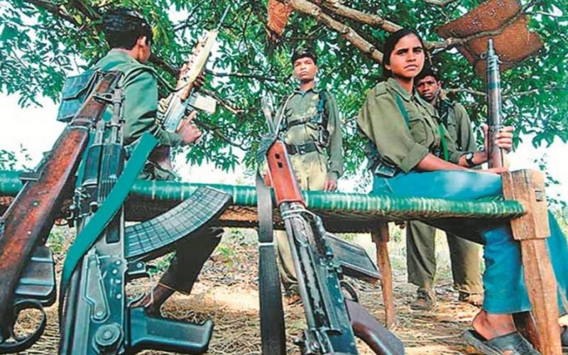 The state government gave a big gift to the Naxalites, they have undergone sterilization cg news hindi news big news latest News khabargali 