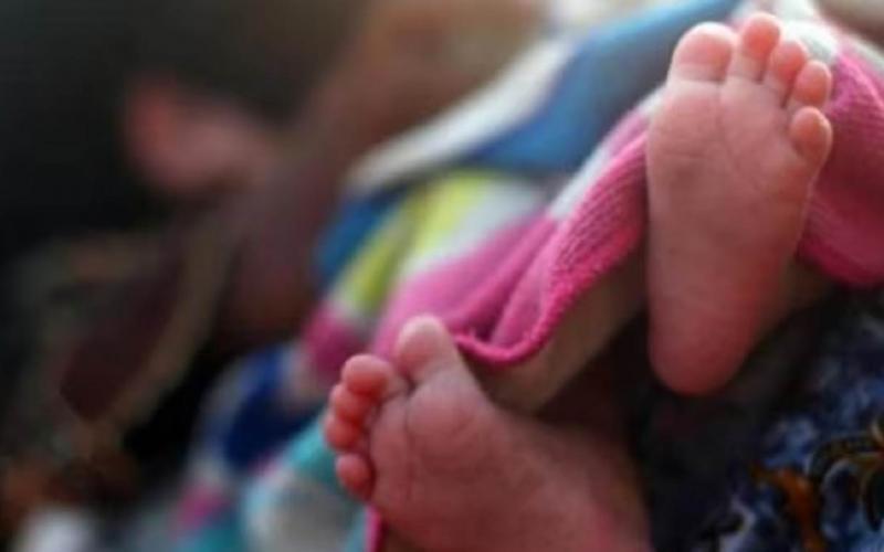 After safe delivery of twins, mother's health deteriorated and she died, family members created uproar Chhattisgarh News korba news khabargali 
