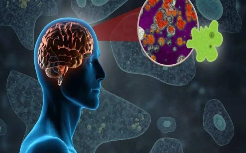 Brain-eating amoeba has caused 19 deaths in Kerala so far; this is how the infection occurs. Hindi news big news latest News khabargali 