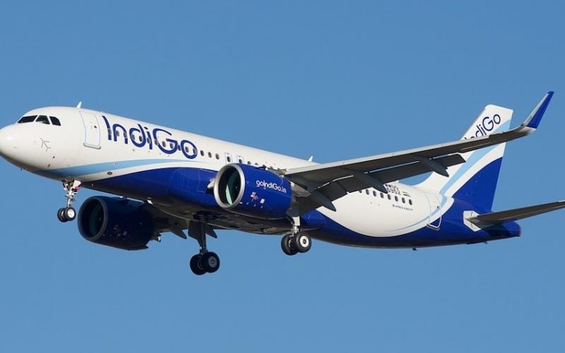 IndiGo flight makes emergency landing in Raipur, one passenger dead cg news hindi News latest News khabargali 