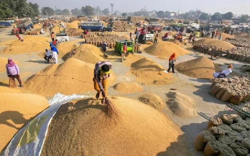 Government strict on paddy procurement, FIR against 4 officials for refusing to work, hints of arrest, Chhattisgarh, Khabargali