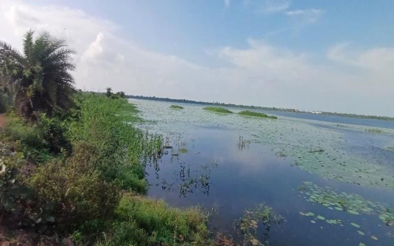 भारत-दक्षिण अफ्रीका वनडे मैच के टिकटों की ऑनलाइन बुकिंग शुरू,  3 दिसंबर को खेला जाएगा वनडे सीरीज का दूसरा मैच खबरगली Online booking of tickets for the India-South Africa ODI match has begun; the second match of the series will be played on December 3. Raipur Hndi news khabargali 