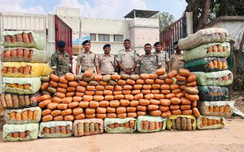  5 करोड़ का गांजा जब्त, कंटेनर के गुप्त चैंबर में छिपाकर हो रही थी तस्करी खबरगली Ganja worth Rs 5 crore seized; smuggled hidden in a secret container kawardha hindi news latest news khabargali 
