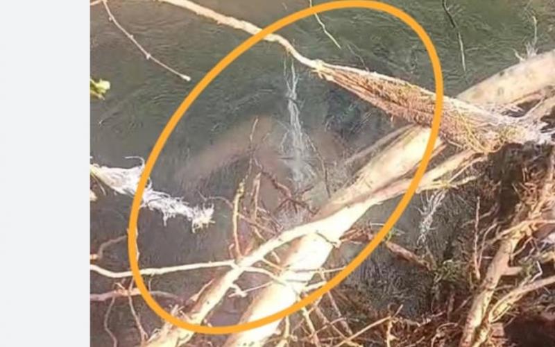 Three friends went for a picnic in Kharkhara, one drowned and his body was found 13 hours later hindi News latest News big News khabargali 