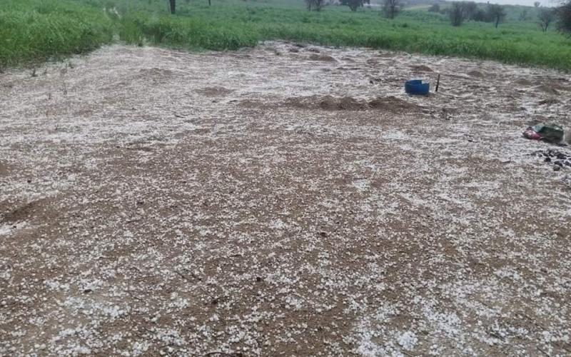 Heavy rain and hailstorms in Chhattisgarh raipur chhattisgarh hindi news khabargali 