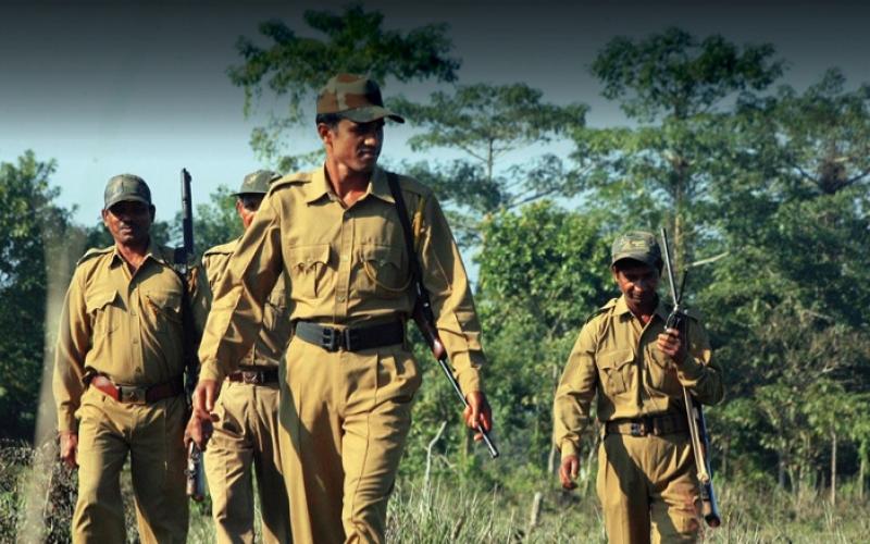 Government jobs in Chhattisgarh, Forest Guards will be recruited for 1484 posts, exam date will be announced soon. Cg news latest Hindi khabargali 