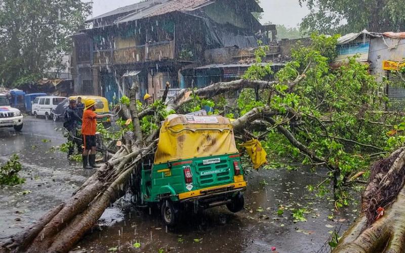Storm and lightning wreak havoc, 7 dead, government announces compensation kolkata news big News khabargali 