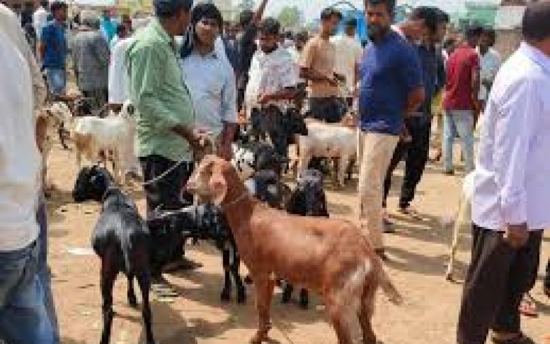 Bakrid alert: Ban on open-air sacrifice, action to be taken against DJs raipur chhattisgarh latest news khabargali  