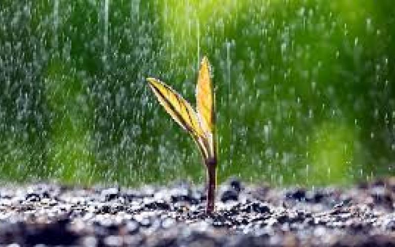 Rain expected in Chhattisgarh for next 5 days, providing relief from scorching heat raipur chhattisgarh hindi news khabargali 