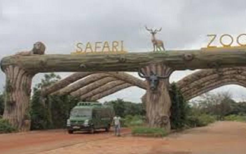  Visiting Nandanvan Zoo and Jungle Safari has become more expensive for tourists, with ticket prices increasing. raipur chhattisgarh hindi news khabargali 