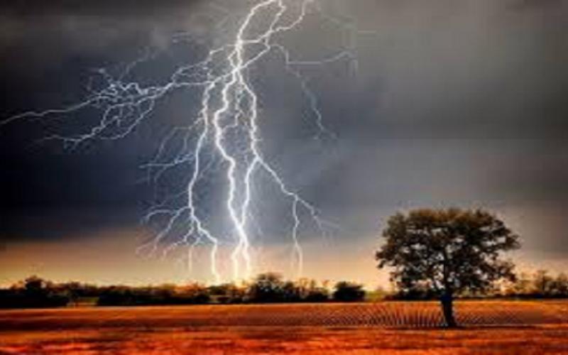 Lightning strikes children gathering mangoes in Ambikapur; 3 dead, including 2 young children. ambikapur chhattisgarh hindi news khabargali 