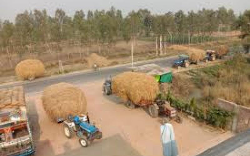  Green fuel to be produced from cow dung and crop stubble; farmers' income to rise; plants being set up in 8 districts. raipur chhattisgarh latest big news khabargali 
