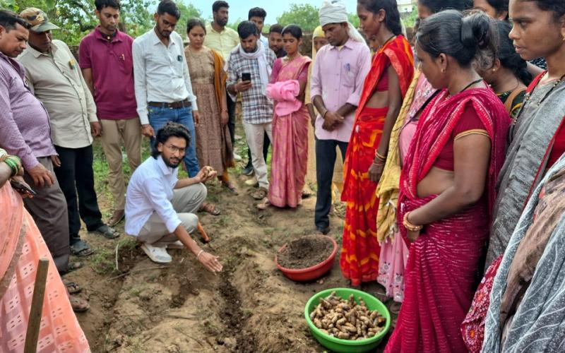 Dhamtari set to become a new hub for turmeric production; 250 farmers have adopted scientific farming methods. raipur hindi news latest news khabargali (85006)