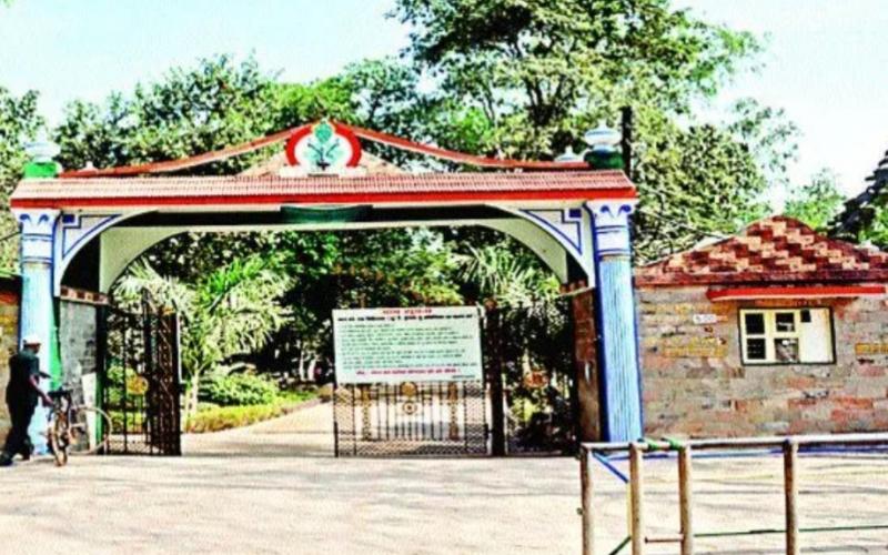 Major changes in the operation of Nandanvan coming soon; Forest Department to issue tender shortly. Hindi news latest news khabargali 