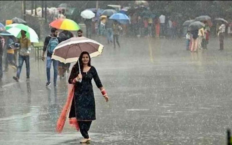 Heavy rain alert for Chhattisgarh for the next 24 hours; 'Orange' warning issued for several districts, including Raipur; lightning strikes also expected. latest News hindi news khabargali 
