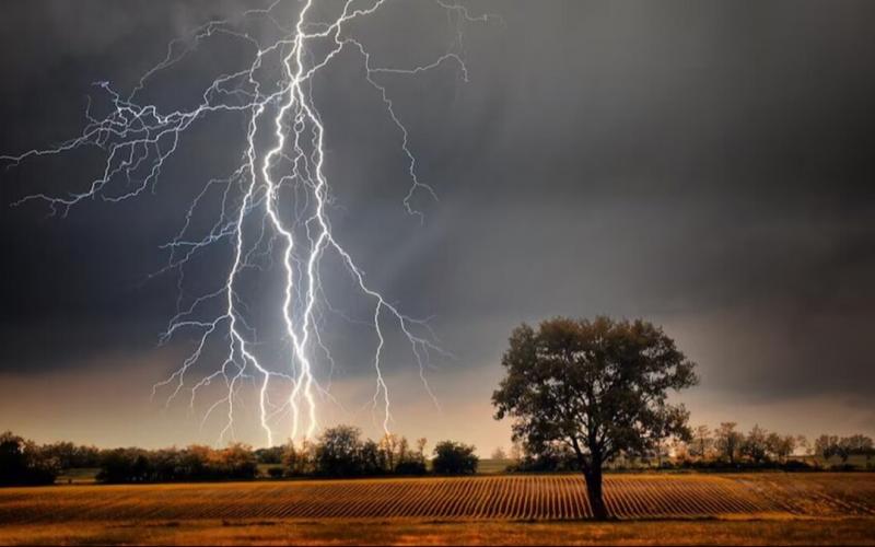 Lightning strikes: 3 dead, 5 injured. Latest news hindi news big news khabargali 