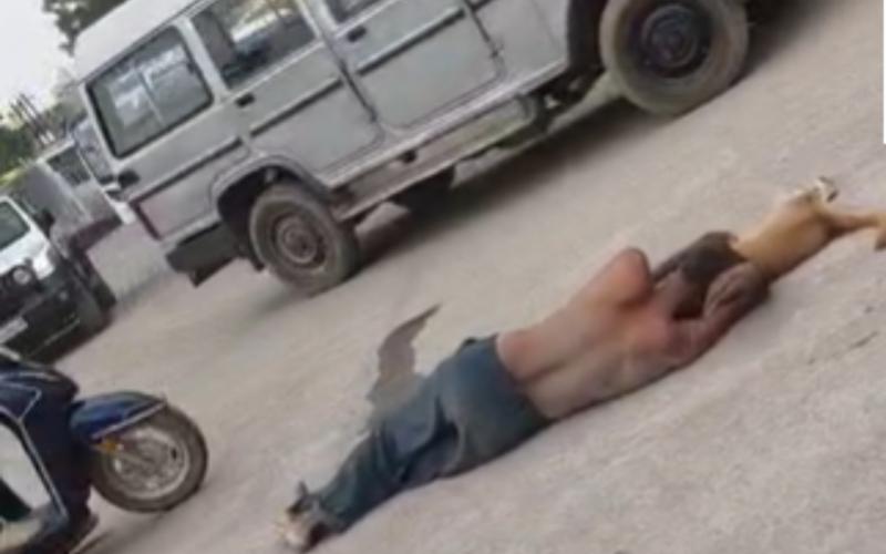 Pet dog dies in Raigarh; owner weeps inconsolably while clinging to the body in the middle of the road. Latest News hindi news khabargali 