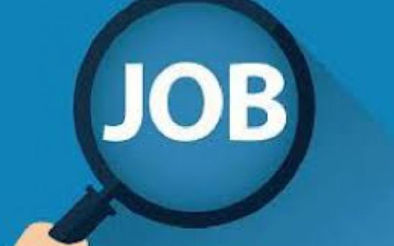 Job fair organized in Raipur on September 2, 2026; recruitment for 877 positions by 8 private sector companies latest News Hindi news khabargali 