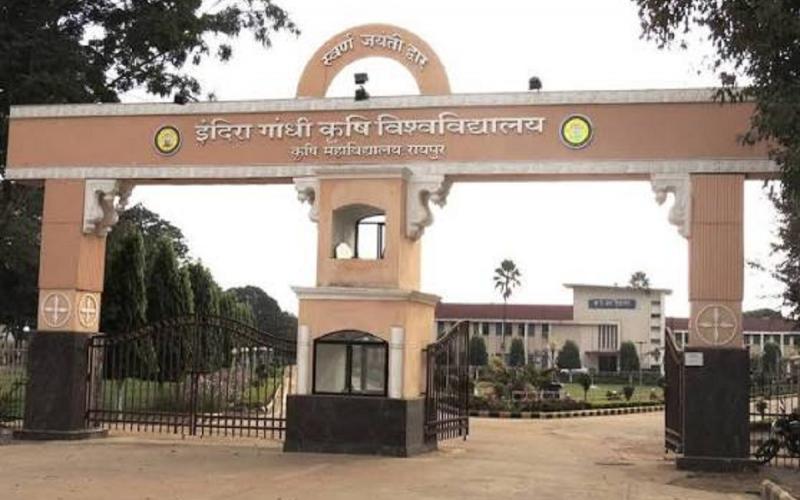 Plant Pathology paper leaked at IGKV too; professor had sold the question paper for ₹10,000. raipur chhattisgarh news khabargali 