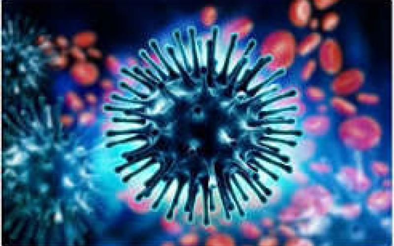  Two new swine flu cases detected in Durg; Health Department on alert. chhattisgarh news hindi news khabargali 