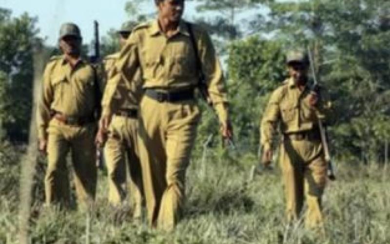 Path cleared for forest guard recruitment in Chhattisgarh; written exam for 1,484 posts on December 13, with 16,762 candidates set to appear. राइ-raipur chhattisgarh hindi news khabargali 