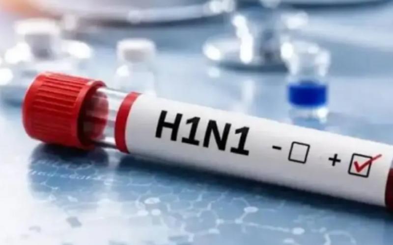 Swine flu outbreak intensifies in Chhattisgarh; over 80 patients reported in 3 days, with more than 50 active cases in Raipur. Hindi news latest news khabargali 