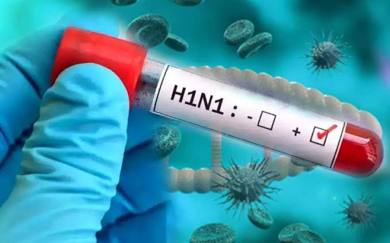  Swine flu arrives in Chhattisgarh; 4 cases detected, one patient dies during treatment. hindi news latest news khabargali 