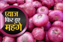 Onion, costlier, Chhattisgarh, onion import, transport and storage, Chief Minister Bhupesh Baghel, Food Civil Supplies and Consumer Protection Department to all district collectors in their district onion, news
