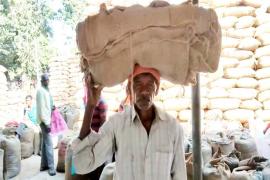 Chhattisgarh, Pradesh, farmers, to sell their produce, gunny bags, token strike, BJP, Vishnu Devasay, Khabargali