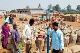 Chhattisgarh, Paddy Purchase Record Broken, 84.44 Lakh MT Paddy, Kharif Marketing Year 2020-21, Khabargali