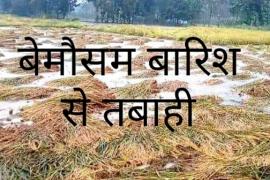 Heavy loss to farmers due to unseasonal rains, Chhattisgarh, crops damaged, Raipur, Gariaband, Dhamtari, Mahasamund, Kanker, Meteorological Department, double whammy on farmers, rain in Karnataka damages five lakh hectares of agricultural crops in the state, Khabargali
