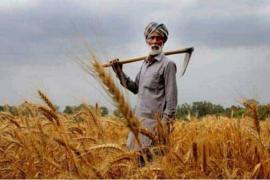 Prime Minister Narendra Modi's central government, a big gift to the farmers of the country, 1.5 percent subvention scheme in interest on short term agriculture loan, Khabargali