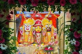 Krishna Janmotsav, Jagannath Temple at Sadar Bazar, Raipur, Lord Jagannath, Bade Bhaiya Baldau, Sister Goddess Subhadra, statues made of sandalwood and neem, Deity of God, Pandit Gunwant Vyas Samiti, Bhajan Sandhya, Omprakash Pujari, 300 years old, Pipli Village  , ninth generation, chhattisgarh, khabargali