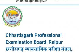 vyapam, application form for examinations, chips, website, chhattisgarh, news,khabargali