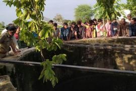 While plucking guavas from the tree, three children of the same house died after falling into the well (52252), Tragic accident occurred due to breaking of rope tied in the net (52253), Village Charoda (52254), Arang (7061), Chhattisgarh (751),  News Street (475)