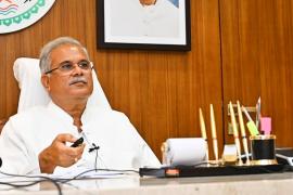 commercial plantation, Chief Minister Tree Estate Scheme, Chief Minister Bhupesh Baghel, announcement of farmers, benefits to farmers, announcement for farmers, big news for farmers, Chhattisgarh farmers, Chhattisgarh, news,khabargali