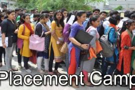 Sector wise placement camp organized in Raipur district from August 17 to 23, Rojgar Sangi Portal, Hotel and Restaurant Sector, Hospital and Medical Laboratory Sector, Financial, Security Institutions and Non-Technical Sector Sector, District Panchayat Raipur and District Skill Development Authority, Chhattisgarh, khabargali
