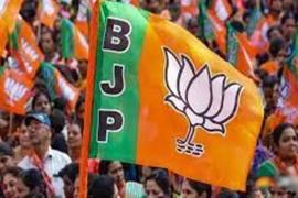 Big news, Chhattisgarh BJP candidates list leaked, 69 names went viral, see the list, political speculation on the names of candidates, possibility of release of the list after PM's Bastar tour, after the Central Election Committee meeting in Rajasthan too.  Names of candidates are out, assembly elections, news,  khabargali