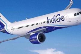 Consecration ceremony of Shri Ram Lalla, Indigo Airlines flight will go from Raipur to Ayodhya via Mumbai, know how much will be the fare, Chhattisgarh, Khabargali