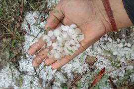 The mood of the weather changed.. rain at some places and hail at other places, Chhattisgarh, Khabargali