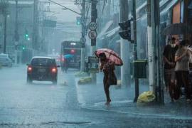 There is a possibility of rain in Chhattisgarh for 3 consecutive days, Meteorological Department has issued an alert...  raipurnews cg news  hindinews latestnews weather news khabargali  