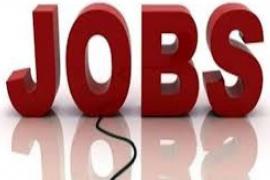 Employment fair organized for disabled people, recruitment will be done on various posts... Job news latest news khabargli 